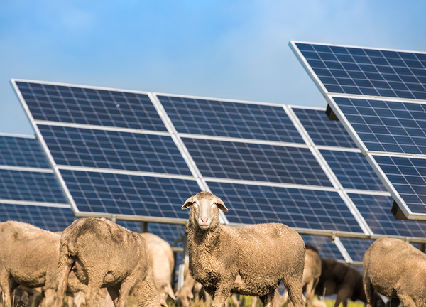 Ausbau erneuerbarer Energien auf der Insel Rügen